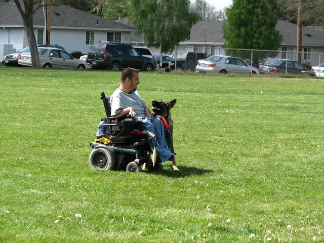 Rogue Valley Schutzhund Club 2008 training archive — obedience, field work and protection foundations — photo 208