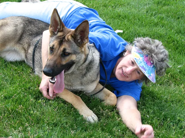 Rogue Valley Schutzhund Club 2008 training archive — obedience, field work and protection foundations — photo 209