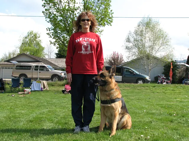 Rogue Valley Schutzhund Club 2008 training archive — obedience, field work and protection foundations — photo 212
