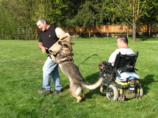 Rogue Valley Schutzhund Club 2008 training archive — obedience, field work and protection foundations — photo 216