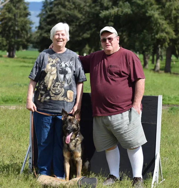 April 10, 2015 RVSC Club Training — a working dog training beside a Schutzhund blind — photo 11