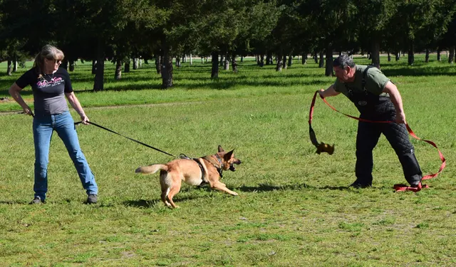 April 10, 2015 RVSC Club Training — a handler building engagement with a working dog — photo 01