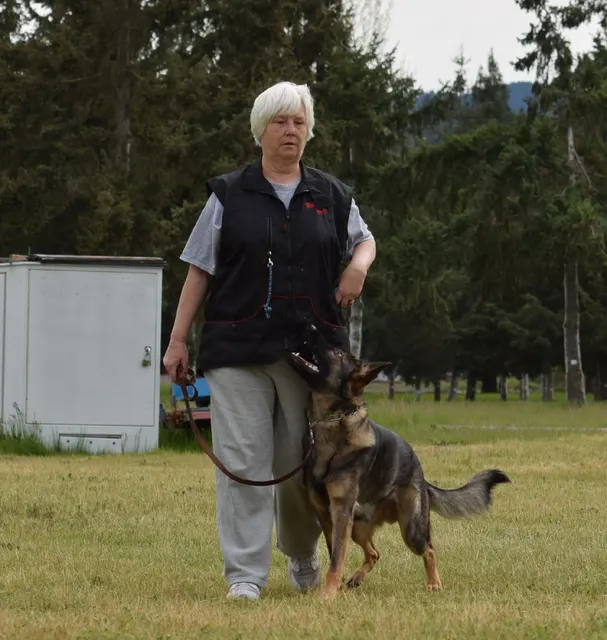 April 10, 2015 RVSC Club Training — a dog-and-handler team practicing obedience on the club field — photo 10