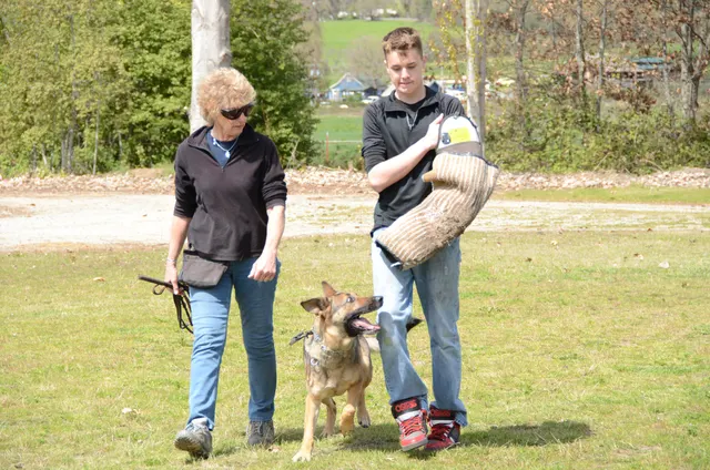 April 13, 2013 RVSC Club Training on April 13, 2013 — a handler and helper preparing a working dog for protection work — photo 04