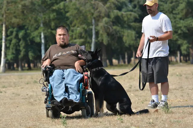 August 17, 2013 RVSC Club Training — a working dog completing a structured field exercise — photo 04