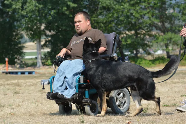 August 17, 2013 RVSC Club Training — a handler reinforcing obedience and engagement with a working dog — photo 05