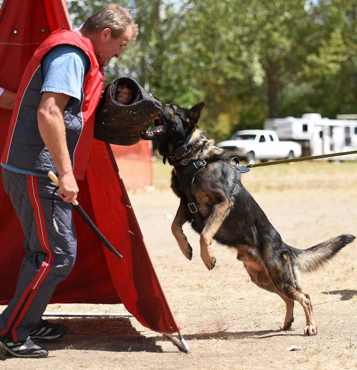 August 31, 2015 RVSC Club Training — a working dog training around a Schutzhund blind