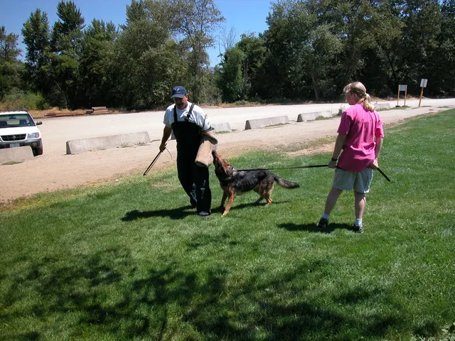 RVSC Club Training — August 6, 2005 — field training, handler coaching, helper work and protection foundations — photo 002
