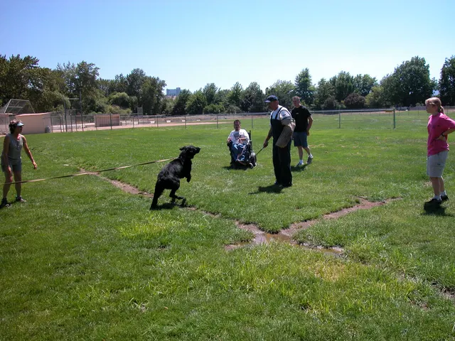 RVSC Club Training — August 6, 2005 — field training, handler coaching, helper work and protection foundations — photo 004