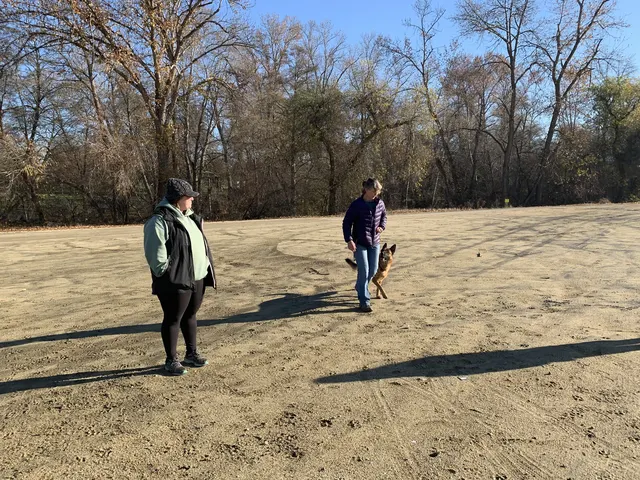December 5, 2020 Club Training — club members observing a handler-and-dog training exercise — photo 06