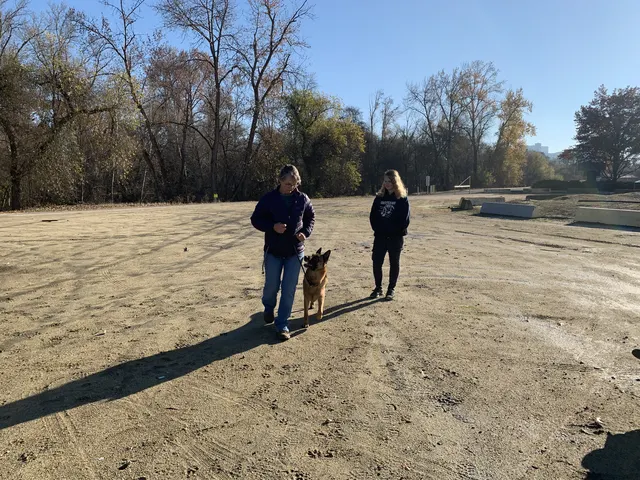 December 5, 2020 Club Training — a dog-and-handler team practicing controlled movement across the field — photo 04