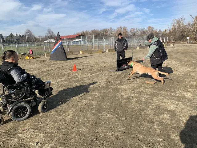 December 5, 2020 Club Training — a working dog moving with the handler near the blind — photo 10