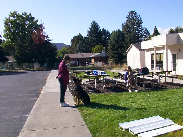 Pre-RVSC Working-Dog Training — January 2003 — German Shepherd handlers, obedience practice and working-dog portraits — photo 002