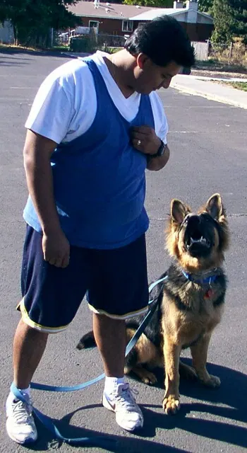 Pre-RVSC Working-Dog Training — January 2003 — German Shepherd handlers, obedience practice and working-dog portraits — photo 005