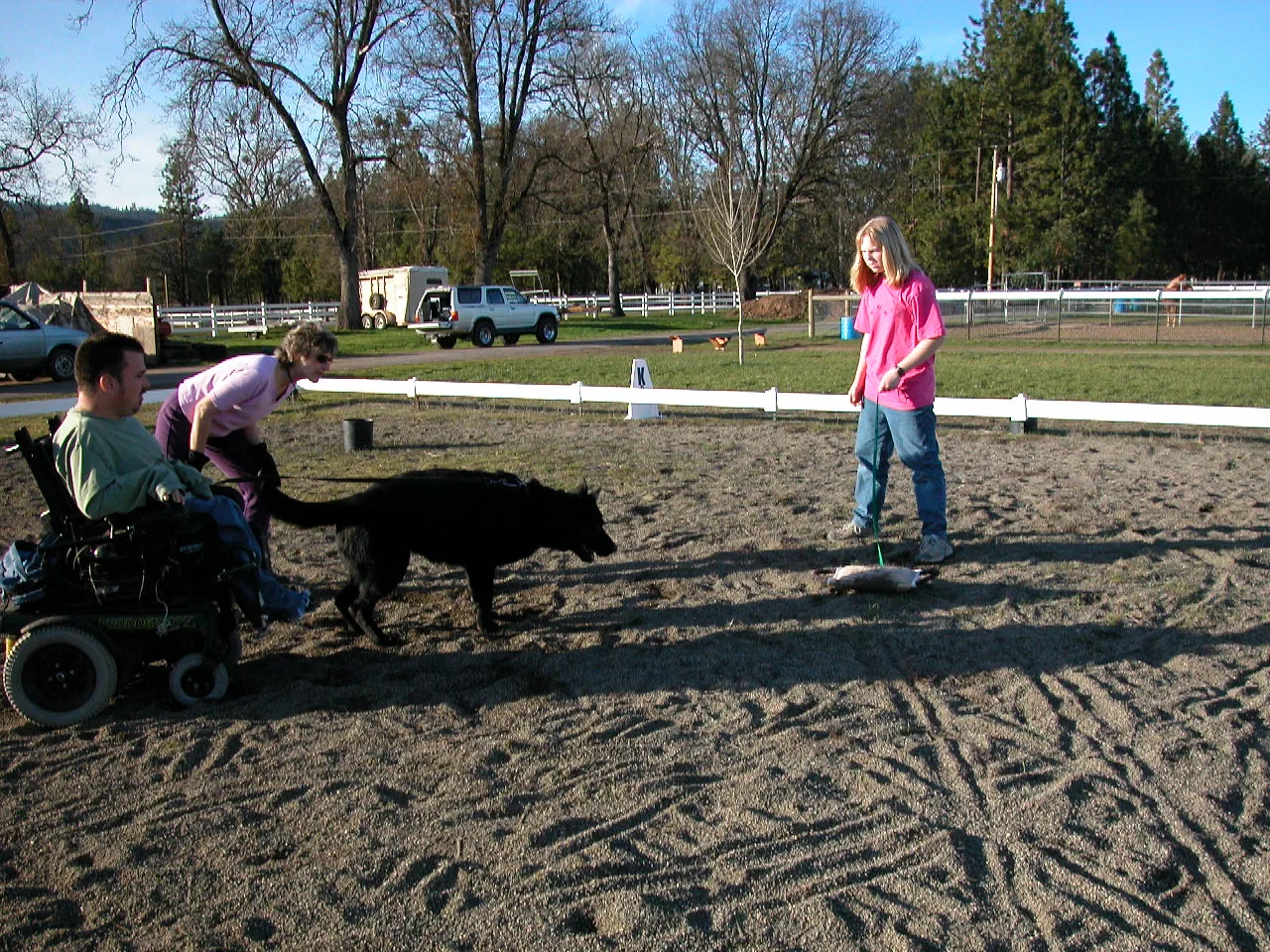 Early Working-Dog Club Training — January 30, 2005 historical working-dog archive