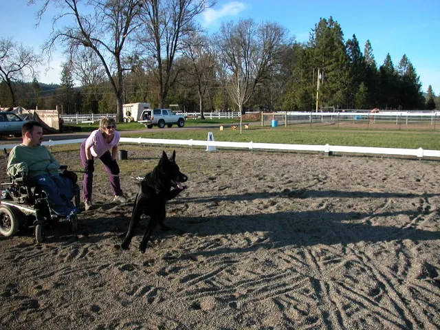Early Working-Dog Club Training — January 30, 2005 — working dogs, handlers and controlled helper exercises — photo 002