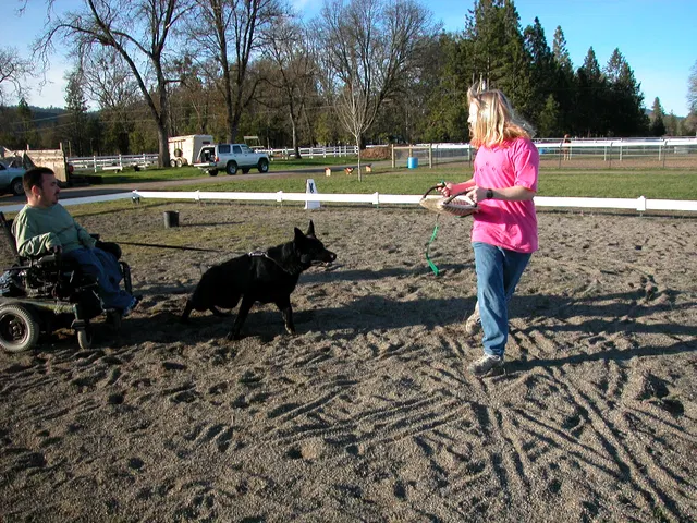 Early Working-Dog Club Training — January 30, 2005 — working dogs, handlers and controlled helper exercises — photo 003