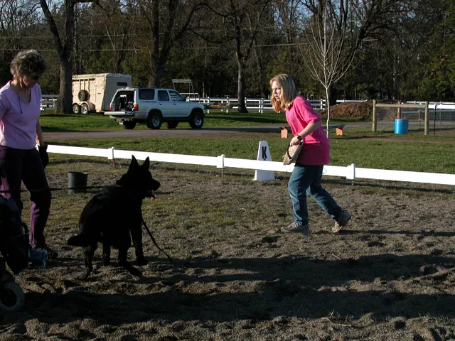 Early Working-Dog Club Training — January 30, 2005 — working dogs, handlers and controlled helper exercises — photo 004