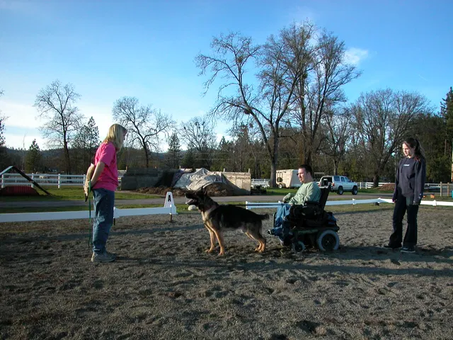 Early Working-Dog Club Training — January 30, 2005 — working dogs, handlers and controlled helper exercises — photo 005