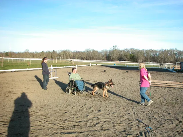 Early Working-Dog Club Training — January 30, 2005 — working dogs, handlers and controlled helper exercises — photo 007