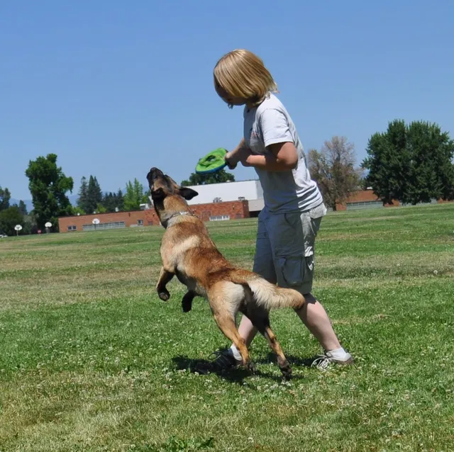 RVSC Club Training — July 18, 2009 — young dogs, handler engagement, working-dog portraits and obedience exercises — photo 012