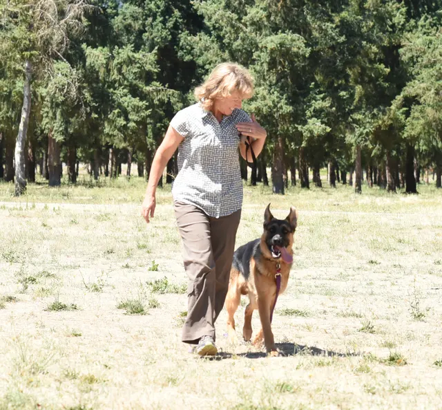 July 24, 2016 RVSC Club Training — a club member posing with a working dog at the RVSC field — photo 05