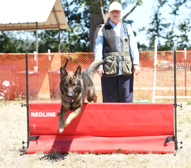 July 24, 2016 RVSC Club Training — a club member posing with a working dog at the RVSC field