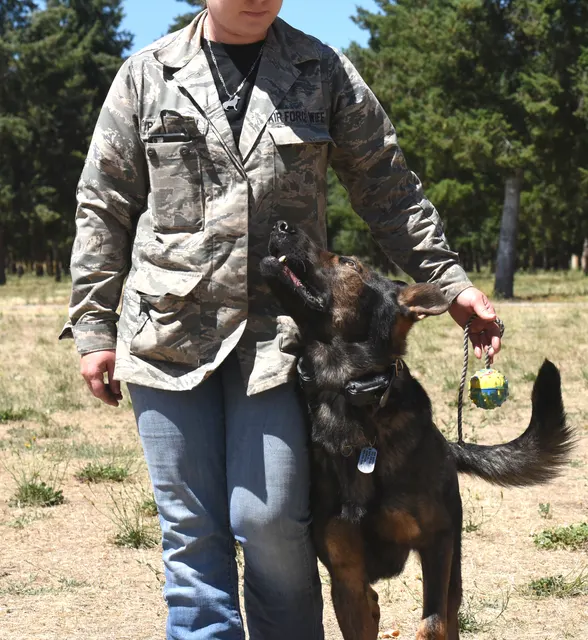 July 24, 2016 RVSC Club Training — a club member posing with a working dog at the RVSC field — photo 13