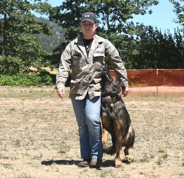 July 24, 2016 RVSC Club Training — a dog-and-handler team completing a structured field exercise — photo 12