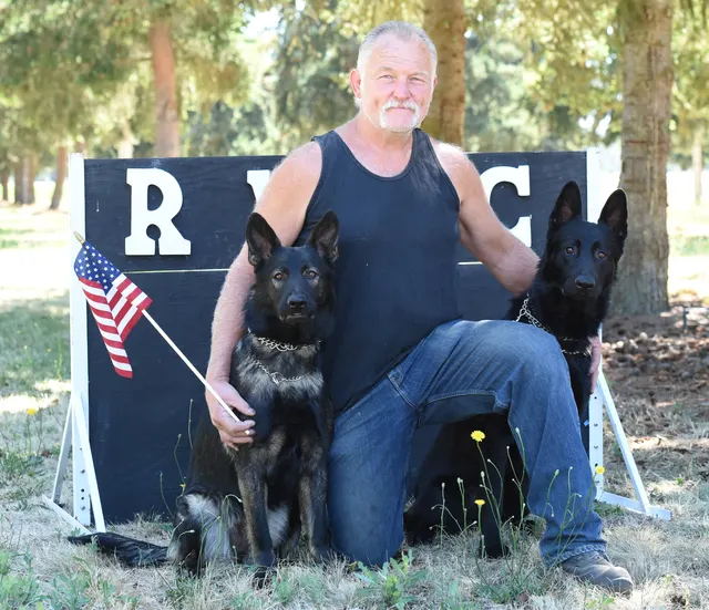 July 24, 2016 RVSC Club Training — a working dog negotiating a training obstacle — photo 03