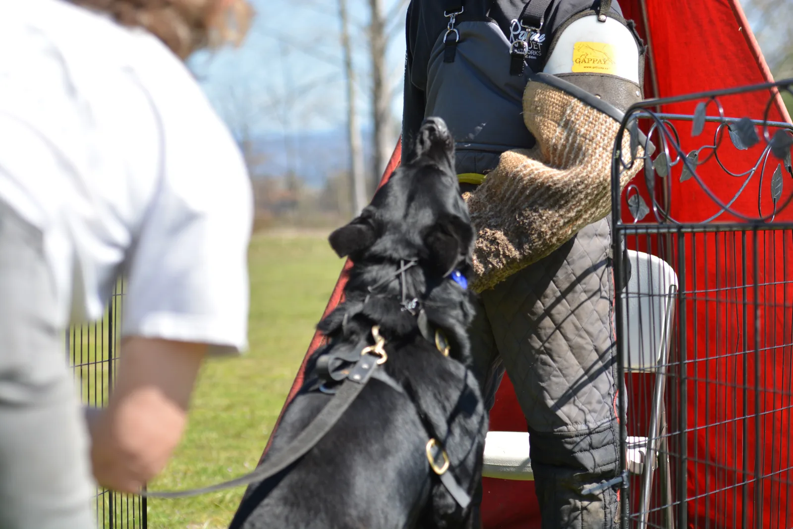 March 22, 2014 RVSC Club Training — a club member posing with a working dog at the RVSC field