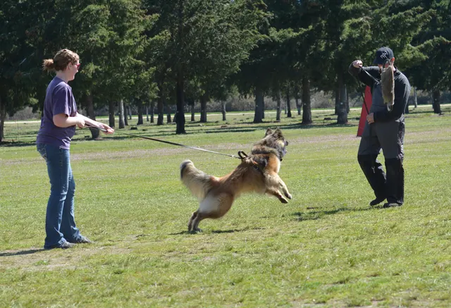 March 22, 2014 RVSC Club Training — a club member posing with a working dog at the RVSC field — photo 21