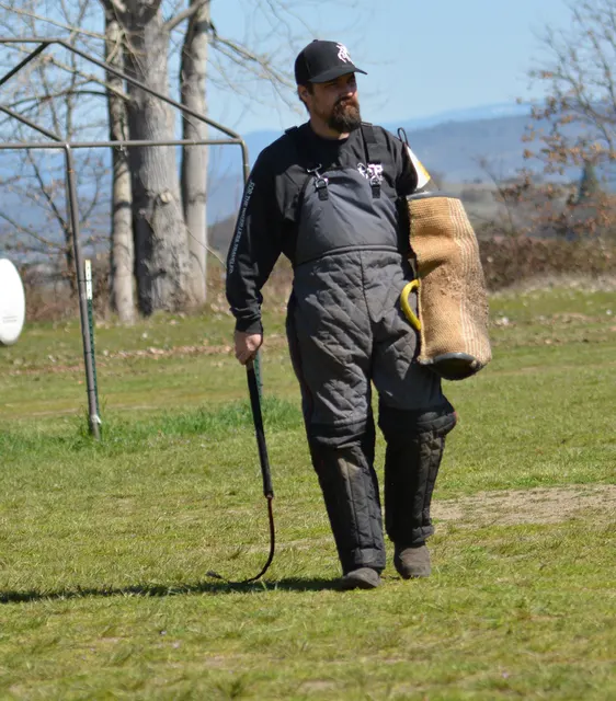 March 22, 2014 RVSC Club Training — a working dog driving toward a helper or reward during training — photo 15