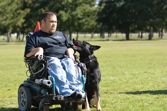 March 22, 2014 RVSC Club Training — a working dog driving toward a helper or reward during training — photo 25