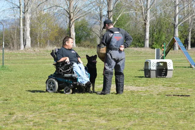 March 22, 2014 RVSC Club Training — a working dog engaging a helper during controlled protection training — photo 29