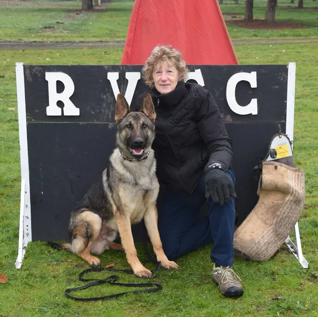 March 22, 2014 RVSC Club Training — a working dog training near a Schutzhund blind — photo 08