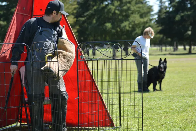 March 22, 2014 RVSC Club Training — a working dog training near a Schutzhund blind — photo 13