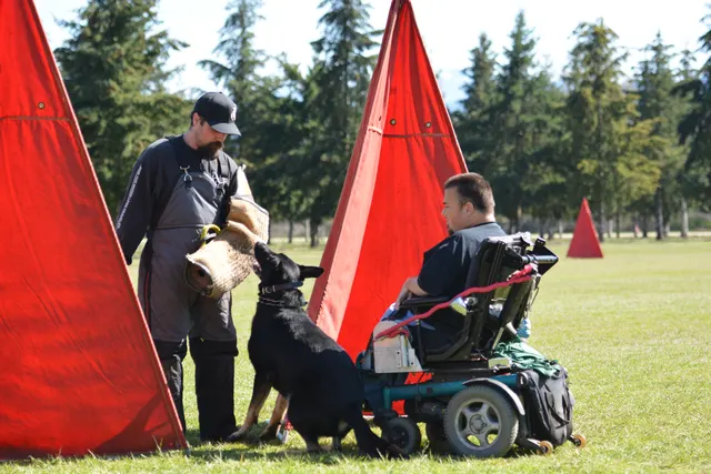 March 22, 2014 RVSC Club Training — a handler and working dog practicing obedience and engagement — photo 27