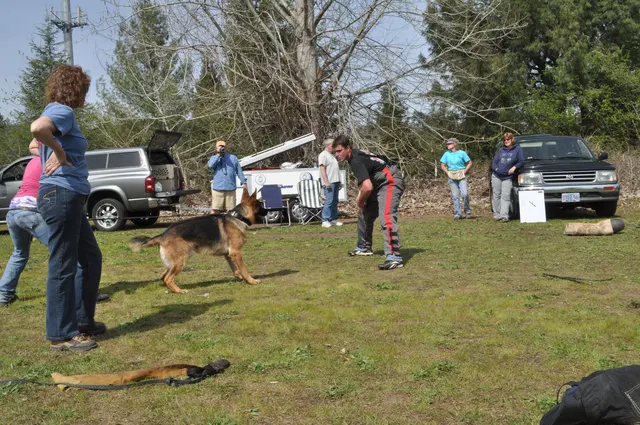 RVSC Club Training — March 26, 2010 — helper work, grip development, blinds and controlled protection training — photo 007