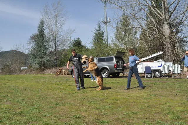 RVSC Club Training — March 26, 2010 — helper work, grip development, blinds and controlled protection training — photo 021