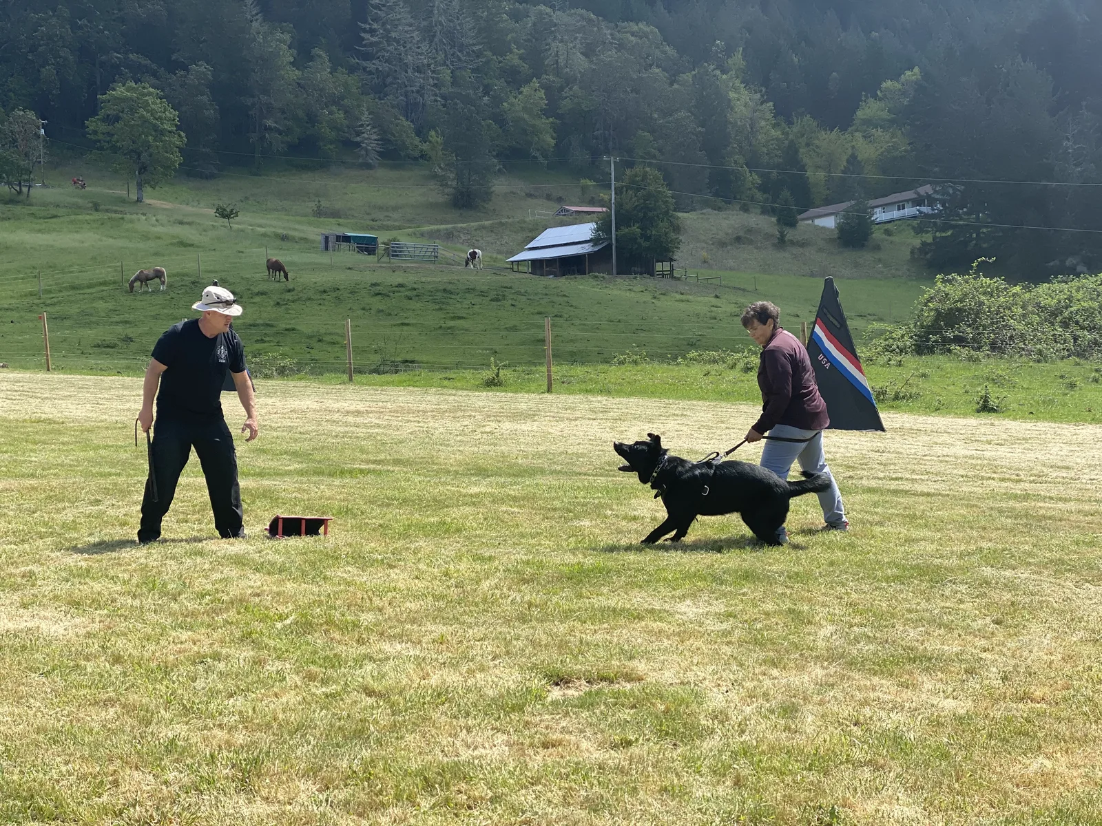 May 1, 2021 Club Training — a working dog engaging the helper during a protection exercise