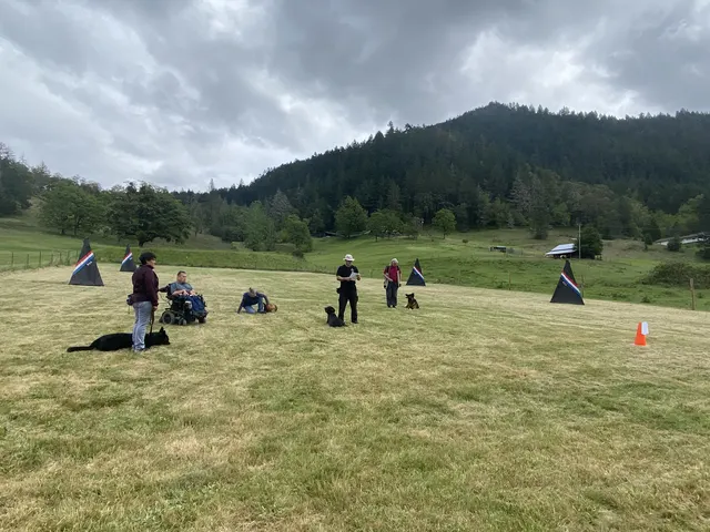 May 1, 2021 Club Training — a wide view of the RVSC training field with multiple blinds — photo 03