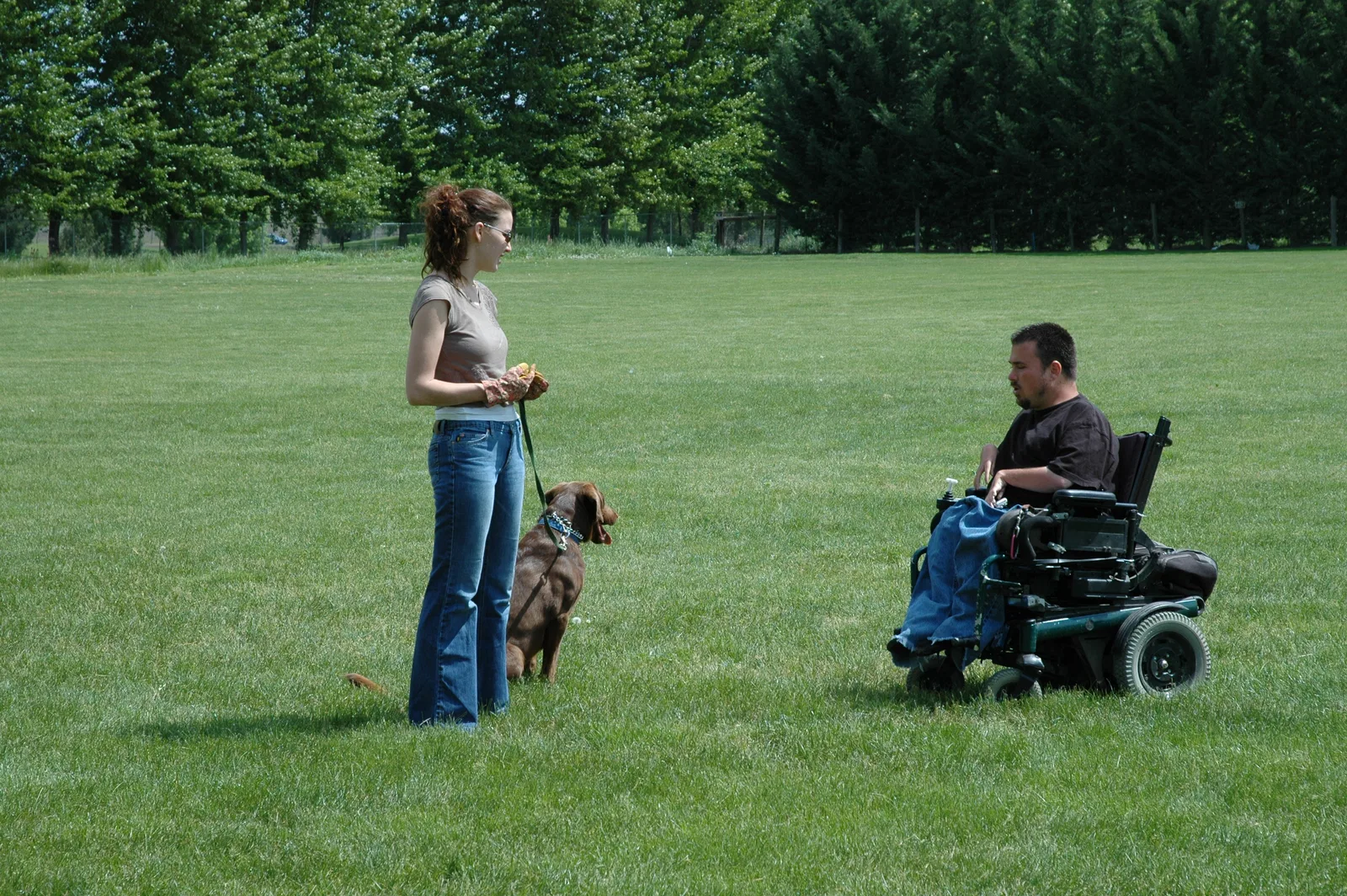 RVSC Club Training — May 14, 2006 historical working-dog archive