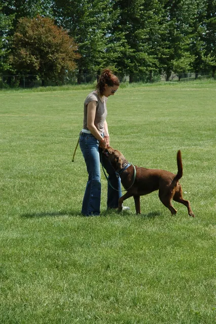 RVSC Club Training — May 14, 2006 — obedience, recalls, field control and Schutzhund blind exercises — photo 002