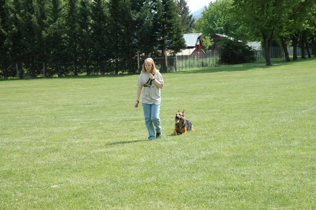 RVSC Club Training — May 14, 2006 — obedience, recalls, field control and Schutzhund blind exercises — photo 003