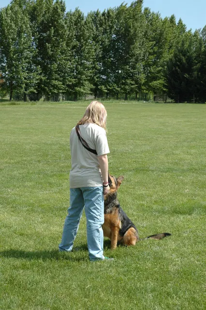 RVSC Club Training — May 14, 2006 — obedience, recalls, field control and Schutzhund blind exercises — photo 004