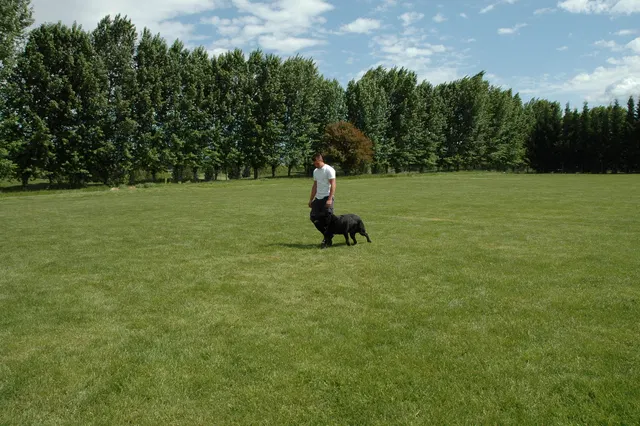 RVSC Club Training — May 14, 2006 — obedience, recalls, field control and Schutzhund blind exercises — photo 005