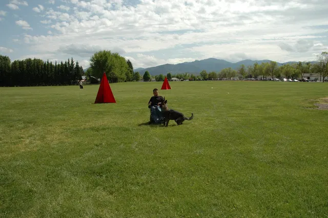 RVSC Club Training — May 14, 2006 — obedience, recalls, field control and Schutzhund blind exercises — photo 008