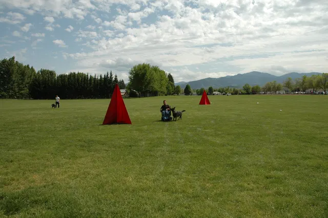 RVSC Club Training — May 14, 2006 — obedience, recalls, field control and Schutzhund blind exercises — photo 009