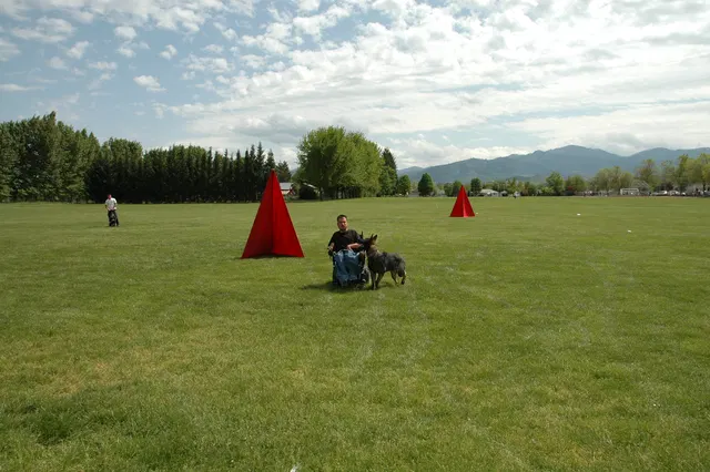 RVSC Club Training — May 14, 2006 — obedience, recalls, field control and Schutzhund blind exercises — photo 010